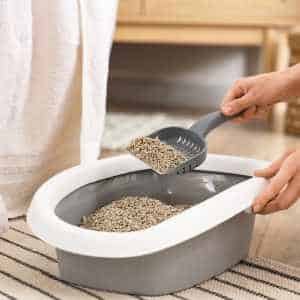 Une litière grise et blanche que l'on nettoie